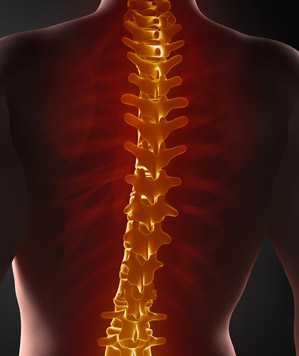 colonne vertébrale mal de dos et kiné à 1190 bruxelles forest