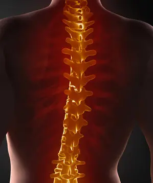 colonne vertébrale mal de dos et kiné à 1190 bruxelles forest
